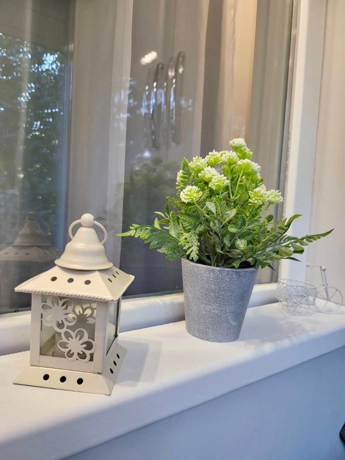 Studio Delux Giurgiu Exteriör bild